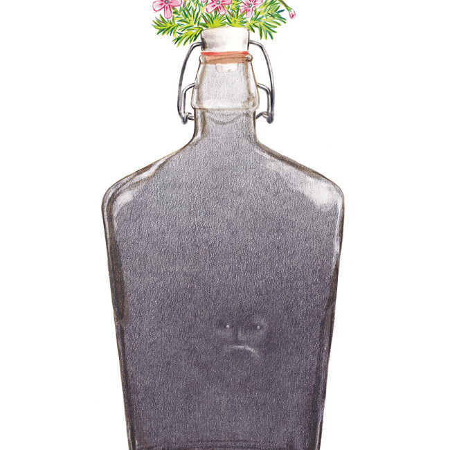 Illustration of a bottle containing a mysterious figure and with an artic plant on the cap. Inside there is a little world.