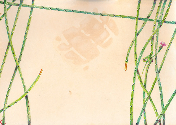 llustration inspired by a poem of Miklos Radnoty for a project with Collettivo NieWiem. Boots strings are holding a flower