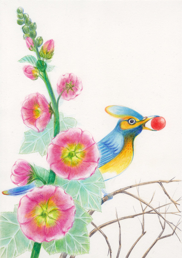 A blue and yellow bird, standing on the branches, among althea flowers, is holding in its beak a red ball. Illustation from a book project which is entitled Rae's gift