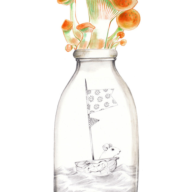 Mushrooms on the cap of a bottle of milk. Inside there is a little world: a mouse that sails in his nutshell. The bottle is part of a collection assembled by a child.