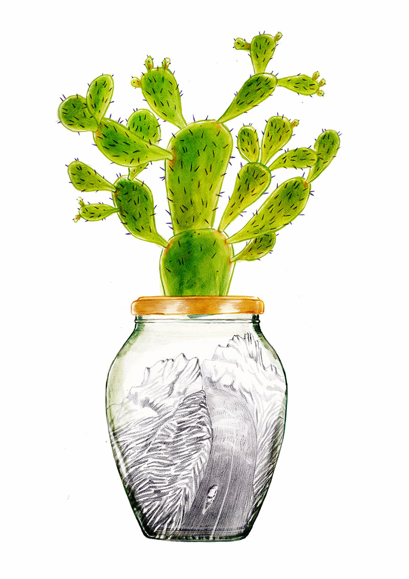 Jam jar with a cactus on the cap. Inside there is a car that travels along a mountain road. The jar is part of a collection of bottles assembled by a child. Illustration for a book entitled 