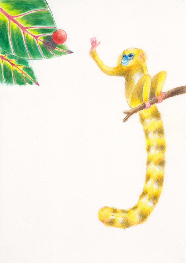 IA yellow monkey, with a very long tail, is trying to catch a red ball that is about to bounch on a big leaf. Illustation from a book project which is entitled Rae's gift