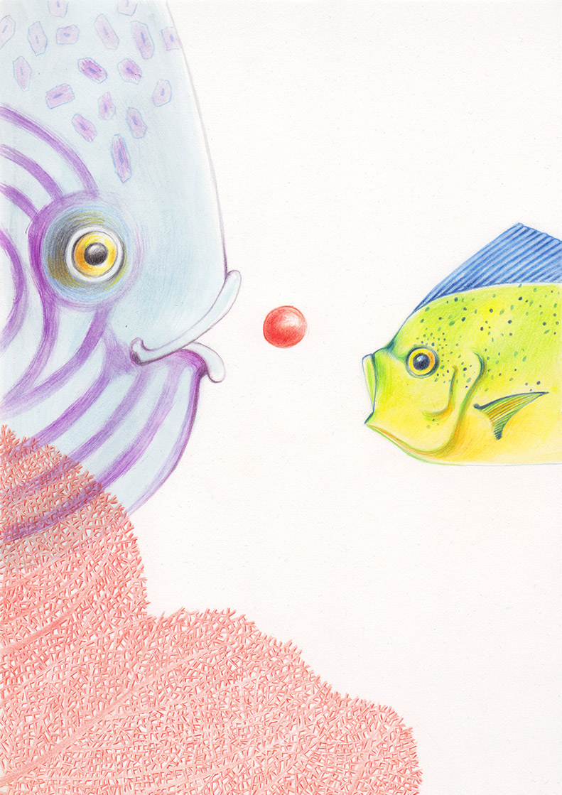 Two colorful fish, behind a red coral, are trying to catch a red ball that is about to rise to the surface. Illustation from a book project which is entitled Rae's gift