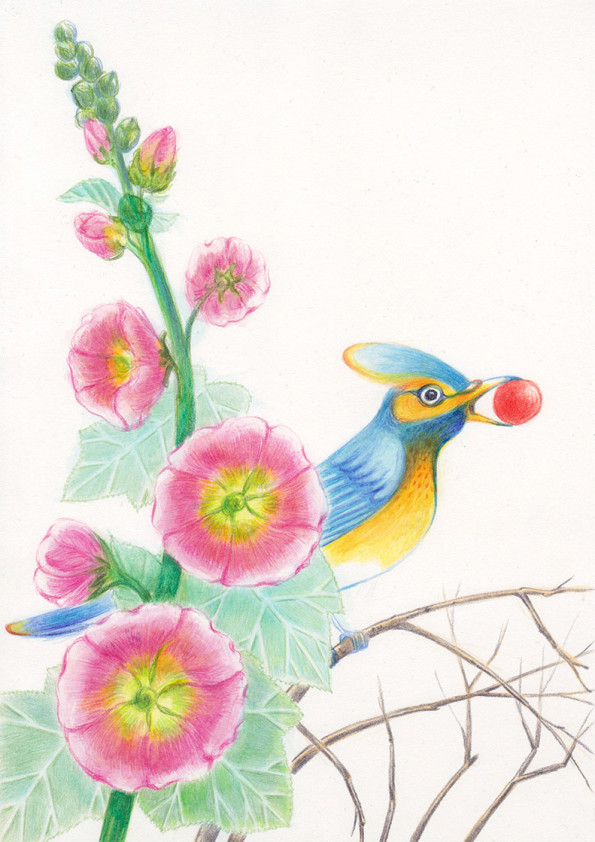 A blue and yellow bird, standing on the branches, among althea flowers, is holding in its beak a red ball. Illustation from a book project which is entitled Rae's gift