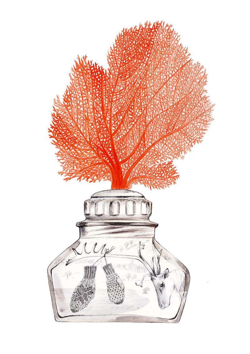 Small bottle with a branch of coral on the cap. Inside there is a winter scene with a reindeer and gloves. The bottle is part of a collection assembled by a child. Illustration for a book entitled 