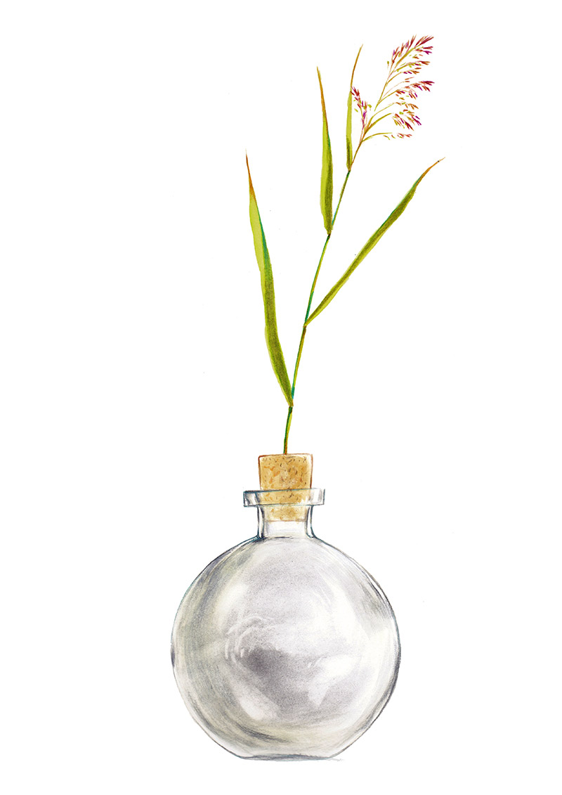 Empty bottle with a blade of grass on the cap. The bottle is part of a collection assembled by a child. Illustration for a book entitled 