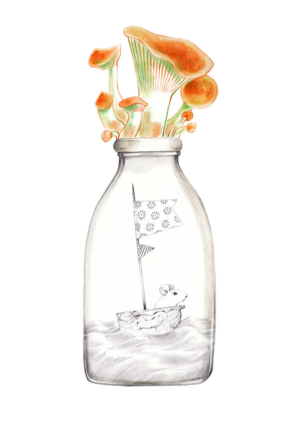 Mushrooms on the cap of a bottle of milk. Inside there is a mouse that sails in his nutshell. The bottle is part of a collection assembled by a child. Illustration for a book entitled "A Litle World"