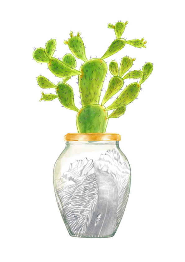 Jam jar with a cactus on the cap. Inside there is a car that travels along a mountain road. The jar is part of a collection of bottles assembled by a child. Illustration for a book entitled 'Un piccolo mondo' - "A Litle World"