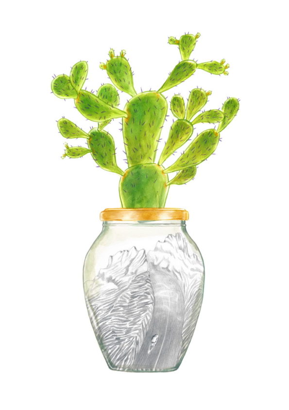 Jam jar with a cactus on the cap. Inside there is a car that travels along a mountain road. The jar is part of a collection of bottles assembled by a child. Illustration for a book entitled 'Un piccolo mondo' - "A Litle World"