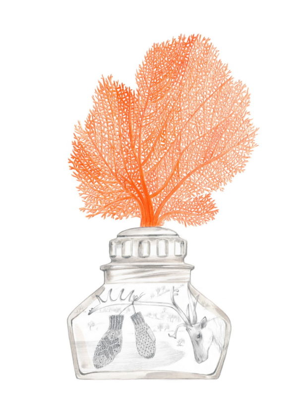 Small bottle with a branch of coral on the cap. Inside there is a winter scene with a reindeer and gloves. The bottle is part of a collection assembled by a child. Illustration for a book entitled 'Un piccolo mondo' - "A Litle World"