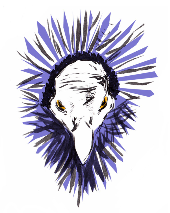 Ink drawing of a guinea hen, digital colored