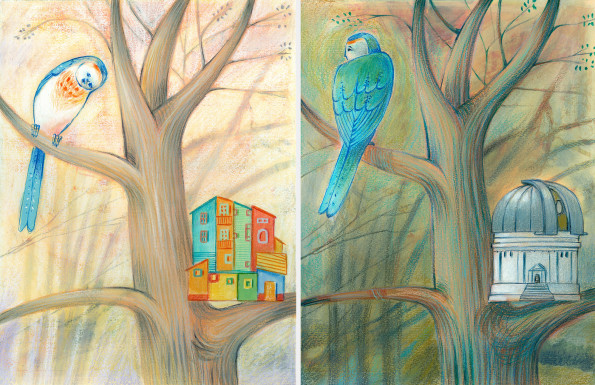 Two illustrations of a bird which has built the wrong houses, one is an observatory and the other is a colored house like the ones at El Caminito. He has to learn to build the nest