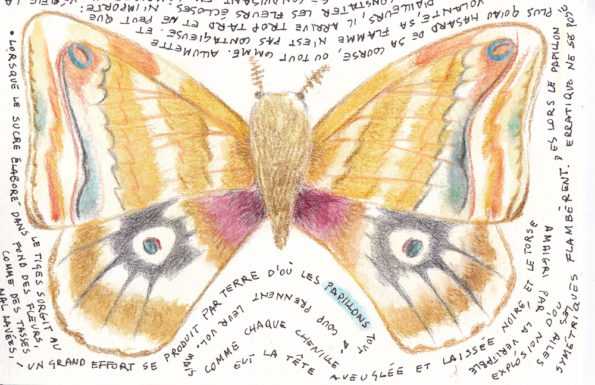 Postcard with a butterfly surrounded by the words of a poem
