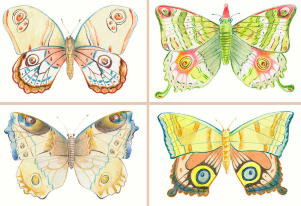 Four colorful butterflies postcards