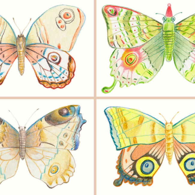 Four colorful butterflies postcards