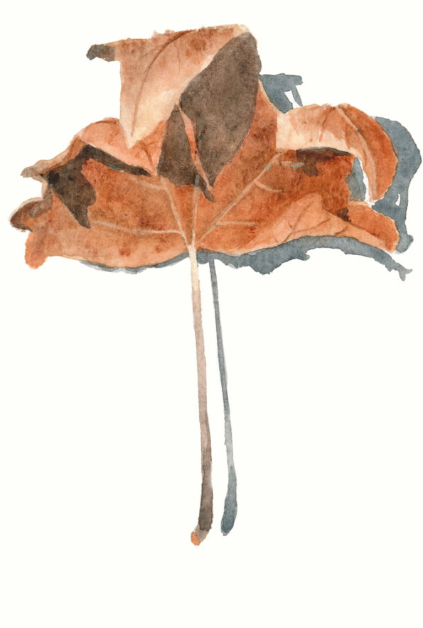Vertical postcard with an autumn leaf